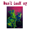 Don't look up
