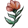 Fleur