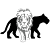 Lion with silhouette of lioness