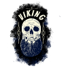 Viking skull logo