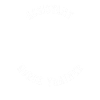Assistent Pferdetrainer - Pferdetrainer Reiten