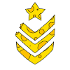 Cheese Army Medal