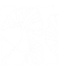 Ginkgo