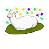 Alpaca Alpacas