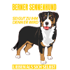 Berner Sennenhund Geschenkideen