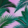 Tropical Palm Trees