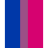 LGBTQ Bi Flag