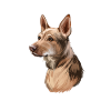 Telomischer Hund Aquarell Kunst Illustration