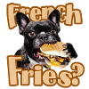 French Friesian Bulldog