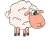 Certified sheep expert