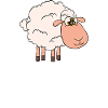 Eat Sleep Sheeps Repeat