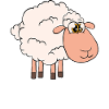 Every day is Sheep's Day