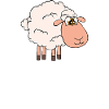 I Really Love My Sheep