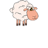 I really like sheep