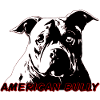 American Bully Pocket 03