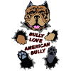 Bully02