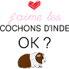 Cochons D'Inde D'amour