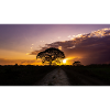 exotic sunset in Venezuela