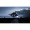 blue sunset