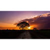 sunset in Venezuela