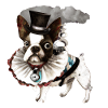 steampunk bulldog