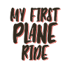 My First Plane Ride 44