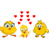 Family chicks