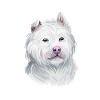 Xiasi Dog Watercolor Paint Illustration