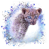 leopard, cat, wildcat, graffiti, painting,blue