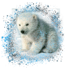 baby polar bear,polar bear,painting,blue,graffiti