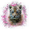 tigerbaby,tiger,pink,graffiti,painting