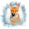 fuchs ,Graffiti, Malerei,fuchs ,aquarell,babyfuchs