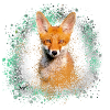 fuchs ,Graffiti, Malerei,fuchs ,aquarell