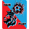 Fußball Fan