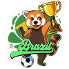 Brazil Football