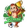 Brazil Football