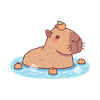 Sød Capybara chilling i varme kilder