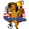 Usa Fußball