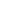 Kangaroo Heartbeat