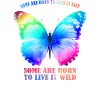 Butterfly Rainbow - Rainbow Butterfly Graphic