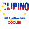 Philippines Philippine Flag