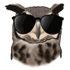 Eule mit Sonnenbrille Geschenkidee