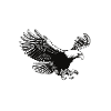United States USA Eagle