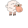 Jesus, Coffee And Sheep