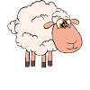My sheep is my Valentine