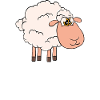 No life without sheep