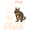 Degu Joke Degus