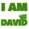 King David Name