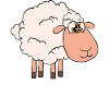 This girl loves sheep