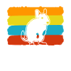 Degu Therapy Degus
